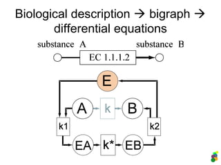 Biological description  bigraph 
differential equations
 