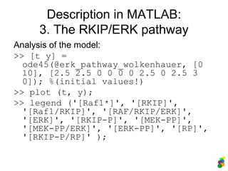 Description in MATLAB:
3. The RKIP/ERK pathway
Analysis of the model:
>> [t y] =
ode45(@erk_pathway_wolkenhauer, [0
10], [2.5 2.5 0 0 0 0 2.5 0 2.5 3
0]); %(initial values!)
>> plot (t, y);
>> legend ('[Raf1*]', '[RKIP]',
'[Raf1/RKIP]', '[RAF/RKIP/ERK]',
'[ERK]', '[RKIP-P]', '[MEK-PP]',
'[MEK-PP/ERK]', '[ERK-PP]', '[RP]',
'[RKIP-P/RP]' );
 