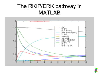 The RKIP/ERK pathway in
MATLAB
 