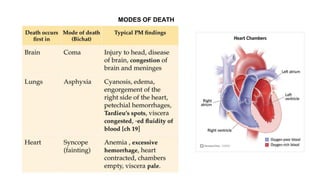 MSC IV_Forensic medicine - Thanatology.pdf