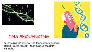 DNA SEQUENCING
determining the order of the four chemical building
blocks - called "bases" - that make up the DNA
molecule.
 