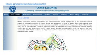 https://e-portal.ccmb.res.in/lacones/lacones.html
 