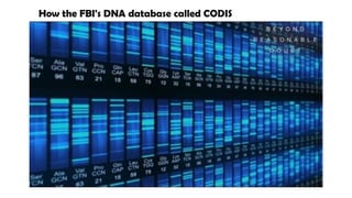 How the FBI's DNA database called CODIS
 