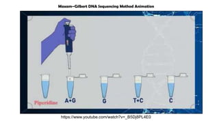 https://www.youtube.com/watch?v=_B5Dj8PL4E0
Maxam–Gilbert DNA Sequencing Method Animation
 
