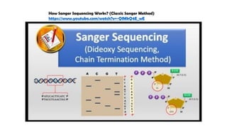 How Sanger Sequencing Works? (Classic Sanger Method)
https://www.youtube.com/watch?v=-QIMkQ4E_wE
 
