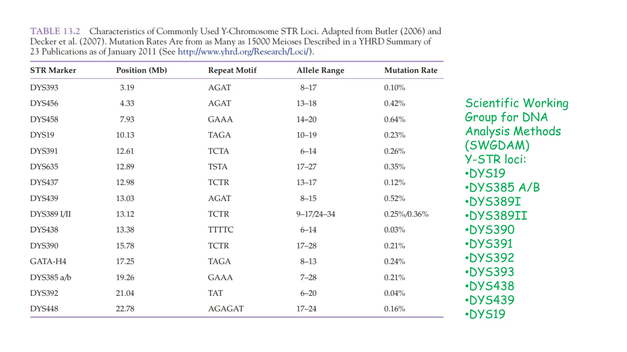 Scientific Working
Group for DNA
Analysis Methods
(SWGDAM)
Y-STR loci:
•DYS19
•DYS385 A/B
•DYS389I
•DYS389II
•DYS390
•DYS391
•DYS392
•DYS393
•DYS438
•DYS439
•DYS19
 