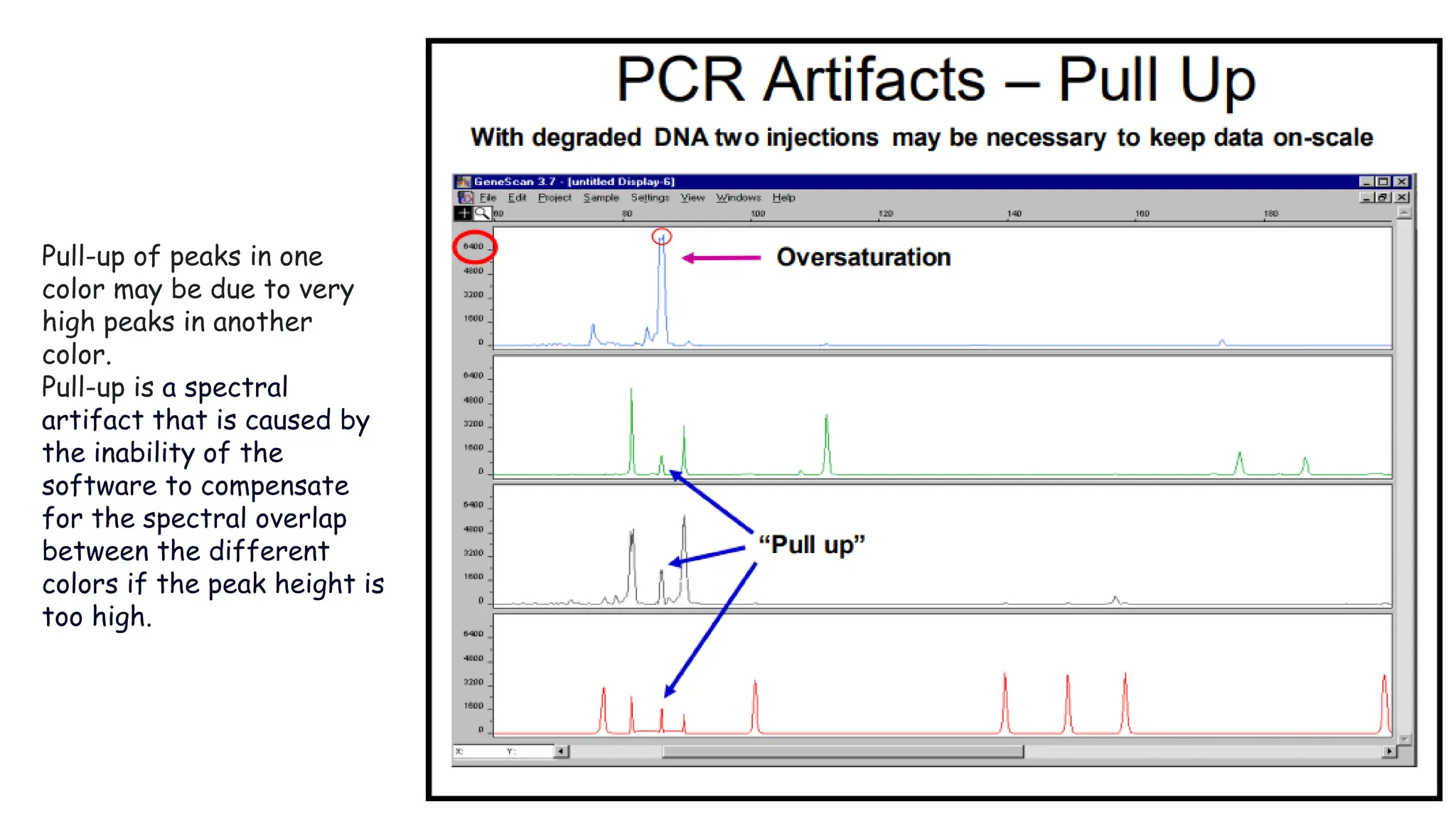 Pull-up of peaks in one
color may be due to very
high peaks in another
color.
Pull-up is a spectral
artifact that is caused by
the inability of the
software to compensate
for the spectral overlap
between the different
colors if the peak height is
too high.
 