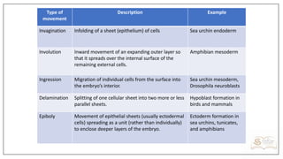 Ingression Vs Involution MSc,MS,MPhil Developmental Biology Lectures.pdf