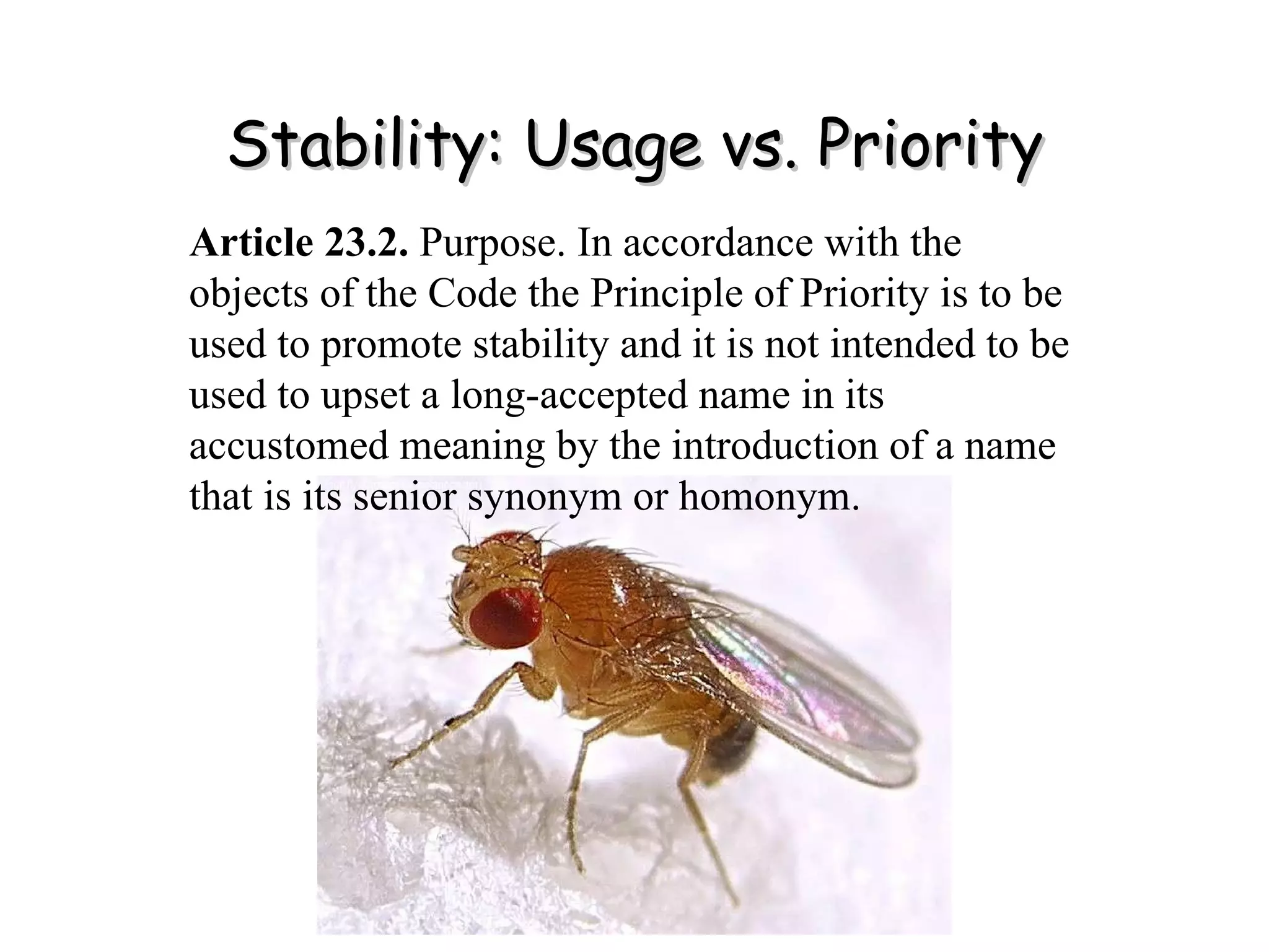 Stability: Usage vs. Priority Article 23.2.  Purpose. In accordance with the objects of the Code the Principle of Priority is to be used to promote stability and it is not intended to be used to upset a long-accepted name in its accustomed meaning by the introduction of a name that is its senior synonym or homonym. 