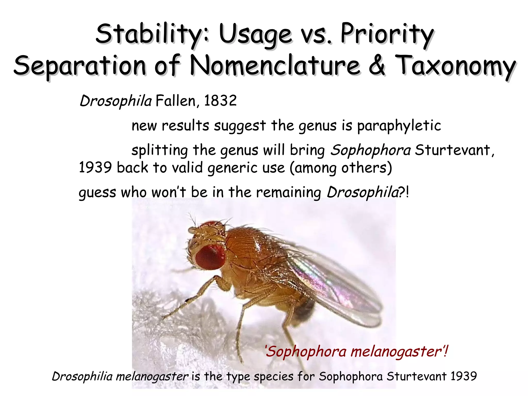 Stability: Usage vs. Priority Separation of Nomenclature & Taxonomy Drosophila  Fallen, 1832 new results suggest the genus is paraphyletic splitting the genus will bring  Sophophora  Sturtevant, 1939 back to valid generic use (among others) guess who won’t be in the remaining  Drosophila ?!  ‘ Sophophora melanogaster’!   Drosophilia melanogaster  is the type species for Sophophora Sturtevant 1939 