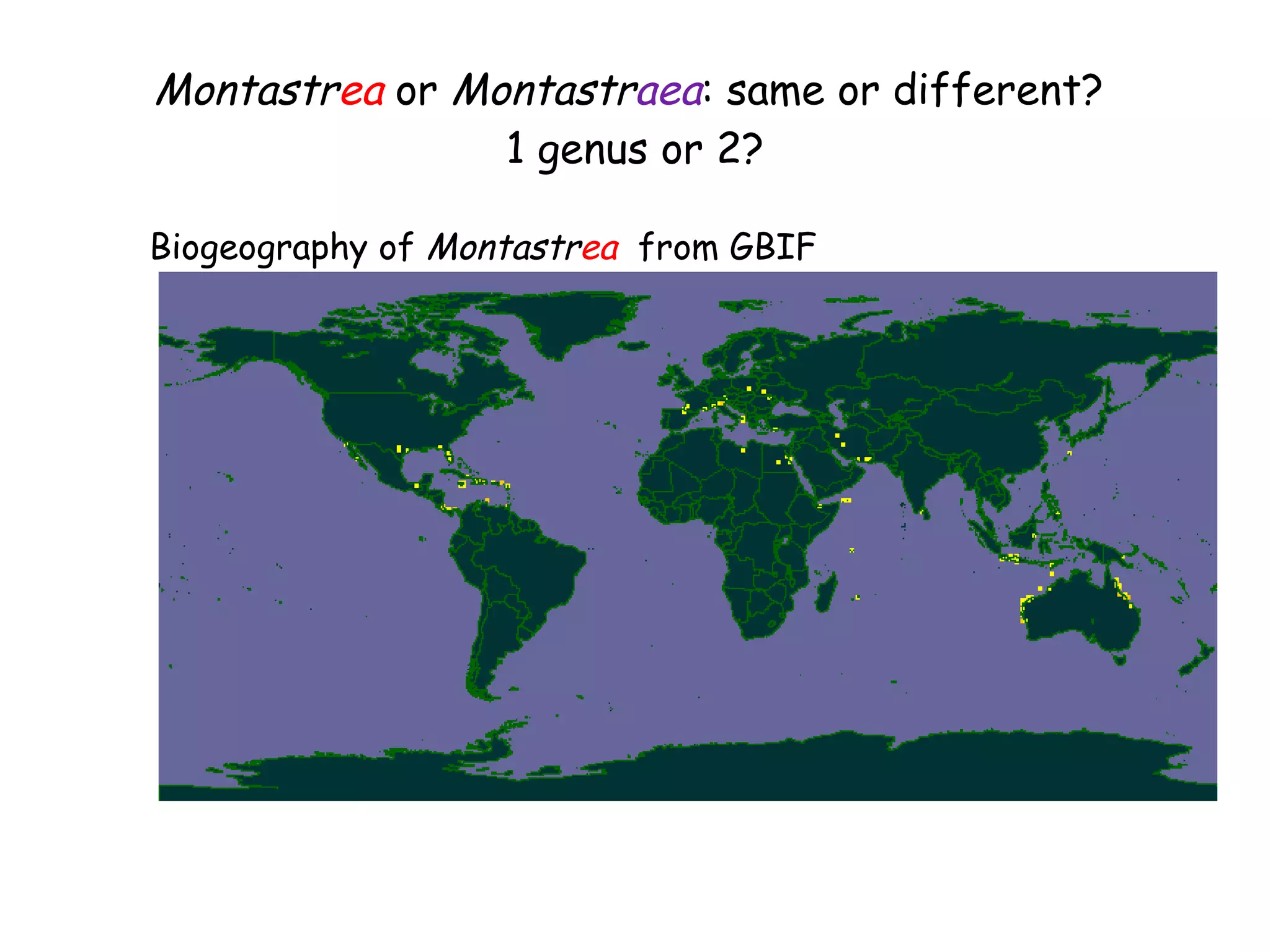 Montastr ea  or  Montastr aea :  same or different?  1 genus or 2? Biogeography of  Montastr ea  from GBIF 