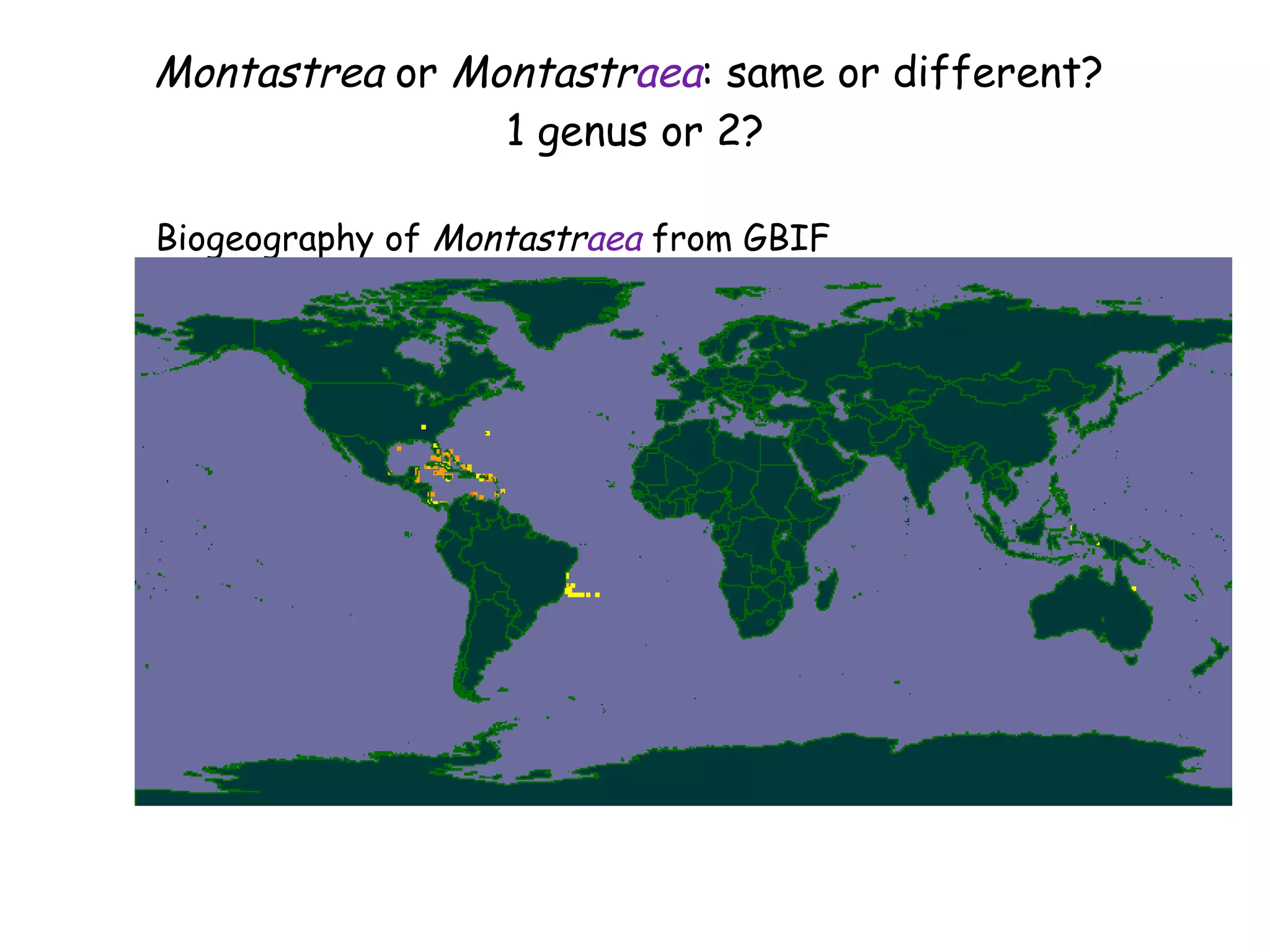 Montastrea  or  Montastr aea : same or different?  1 genus or 2? Biogeography of  Montastr aea  from GBIF 