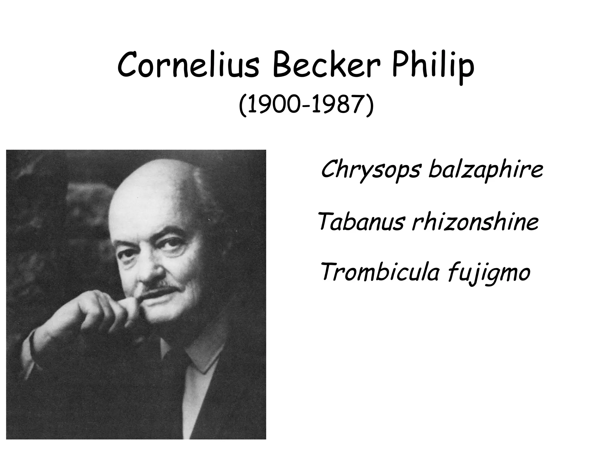 Cornelius Becker Philip  (1900-1987) Chrysops balzaphire Tabanus rhizonshine Trombicula fujigmo 