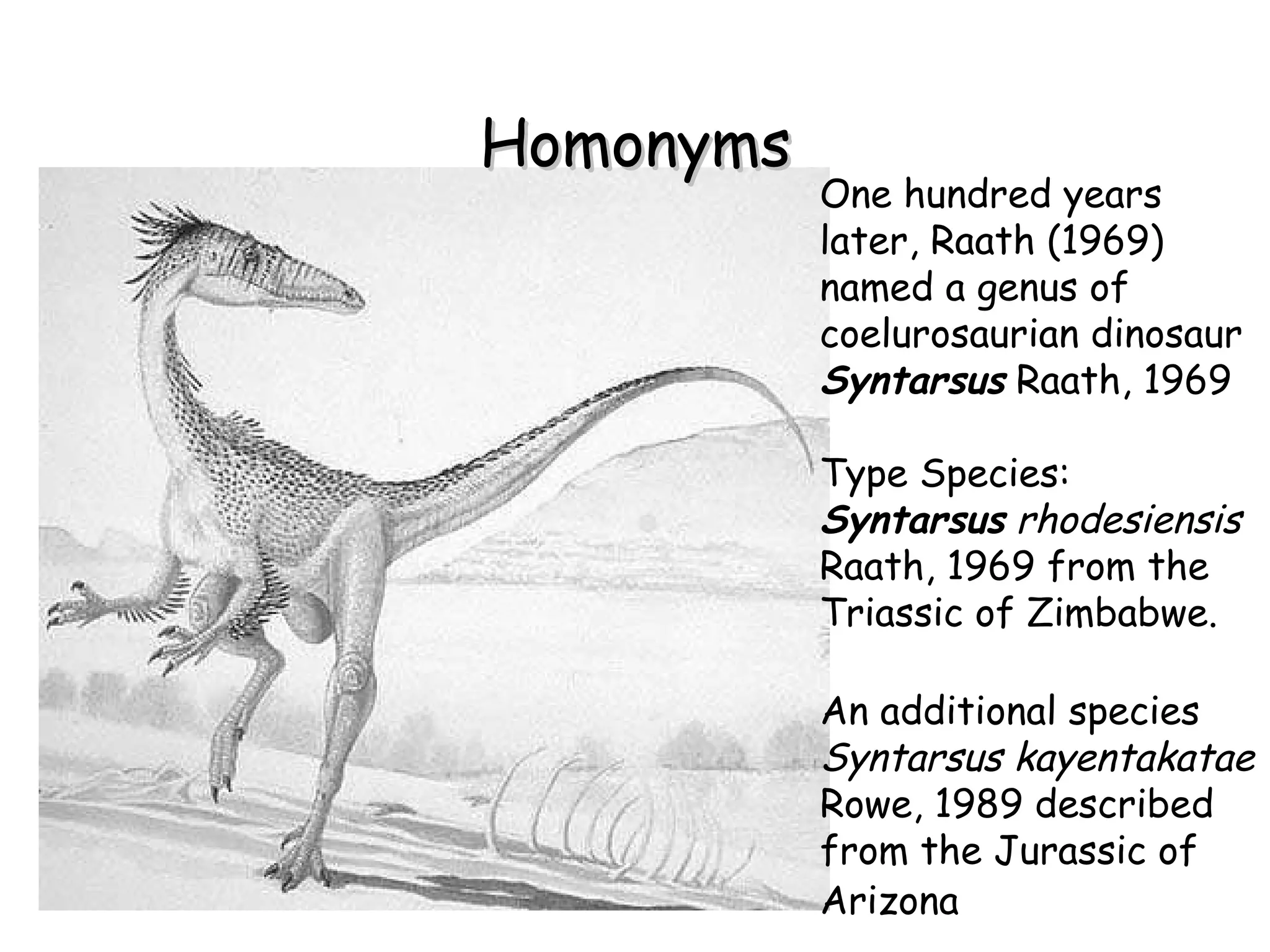 Homonyms One hundred years later, Raath (1969) named a genus of coelurosaurian dinosaur  Syntarsus  Raath, 1969 Type Species:  Syntarsus   rhodesiensis  Raath, 1969 from the Triassic of Zimbabwe.  An additional species  Syntarsus kayentakatae  Rowe, 1989 described from the Jurassic of Arizona   