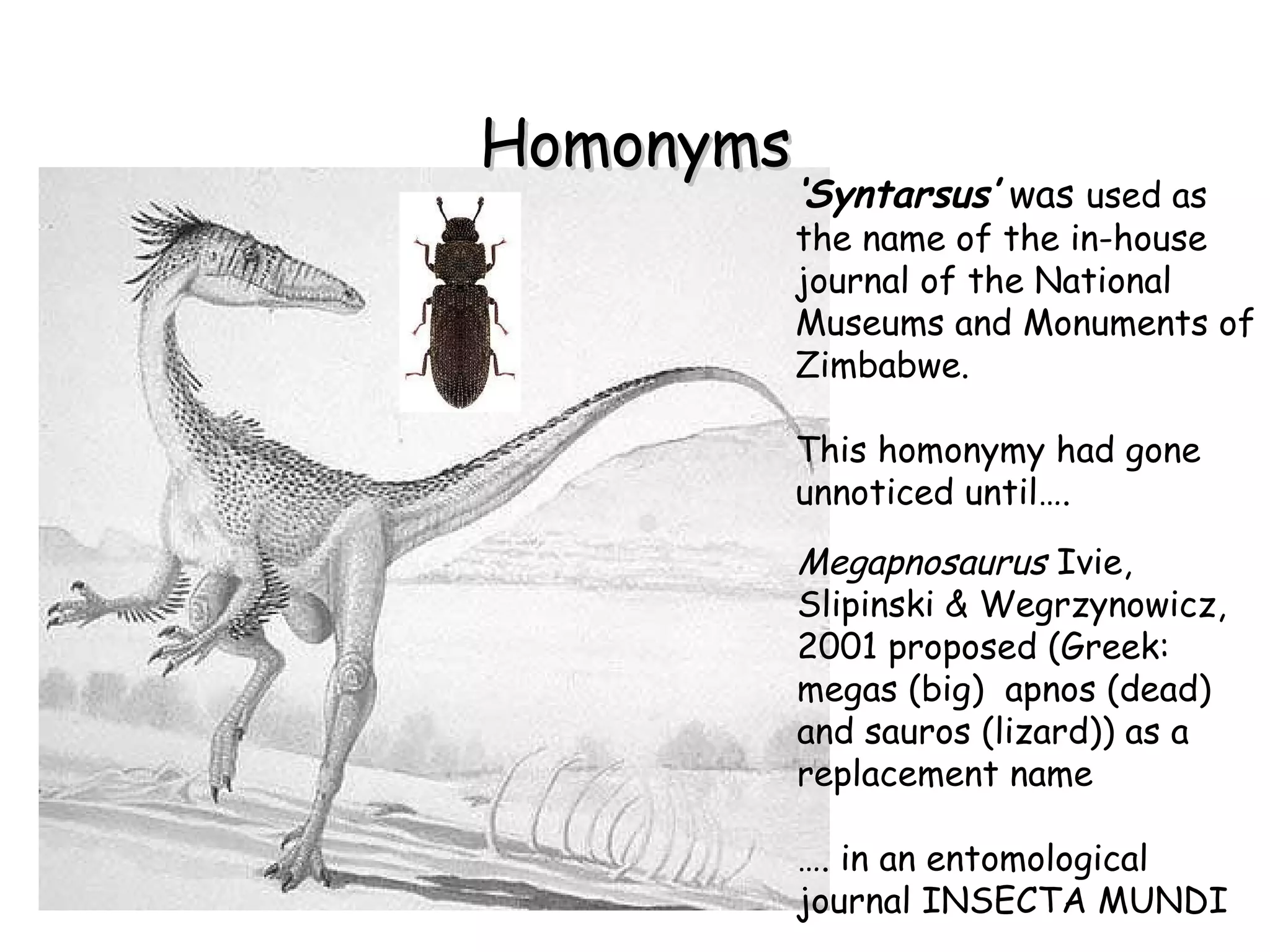 Homonyms ‘ Syntarsus’  was  used as the name of the in-house journal of the National Museums and Monuments of Zimbabwe. This homonymy had gone unnoticed until…. Megapnosaurus  Ivie, Slipinski & Wegrzynowicz, 2001 proposed (Greek: megas (big)  apnos (dead) and sauros (lizard)) as a replacement name … . in an entomological journal INSECTA MUNDI 