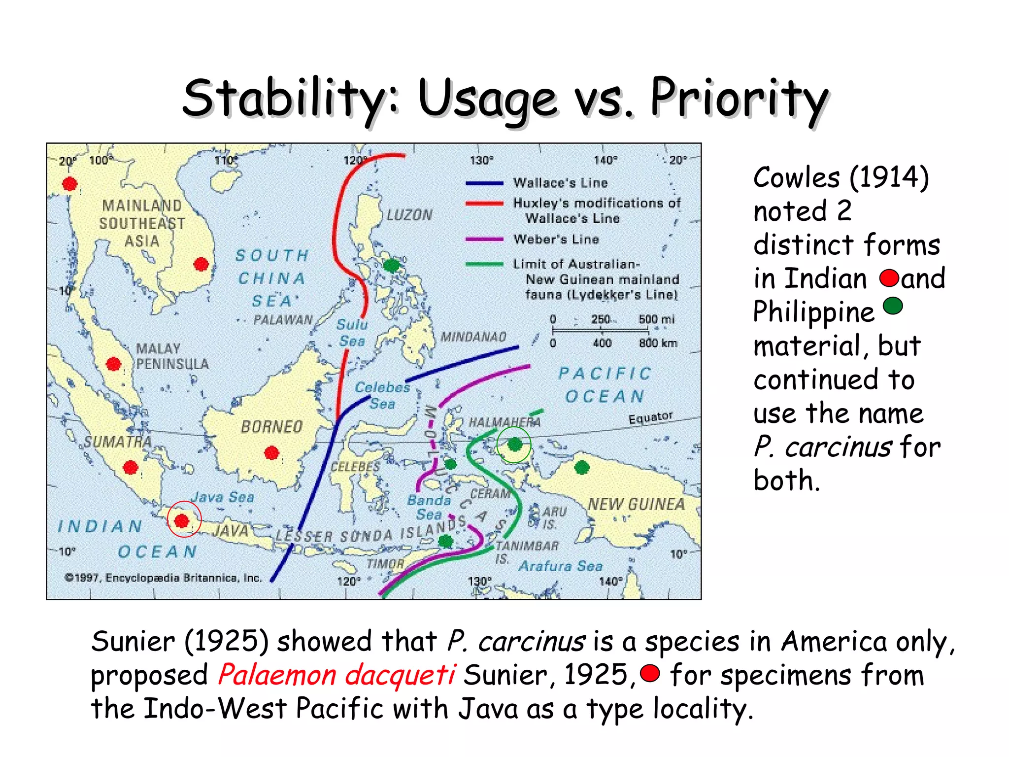 Stability: Usage vs. Priority Sunier (1925) showed that  P. carcinus  is a species in America only, proposed  Palaemon   dacqueti   Sunier, 1925,  for specimens from the Indo-West Pacific with Java as a type locality. Cowles (1914) noted 2 distinct forms in Indian  and Philippine material, but continued to use the name  P. carcinus  for both. 
