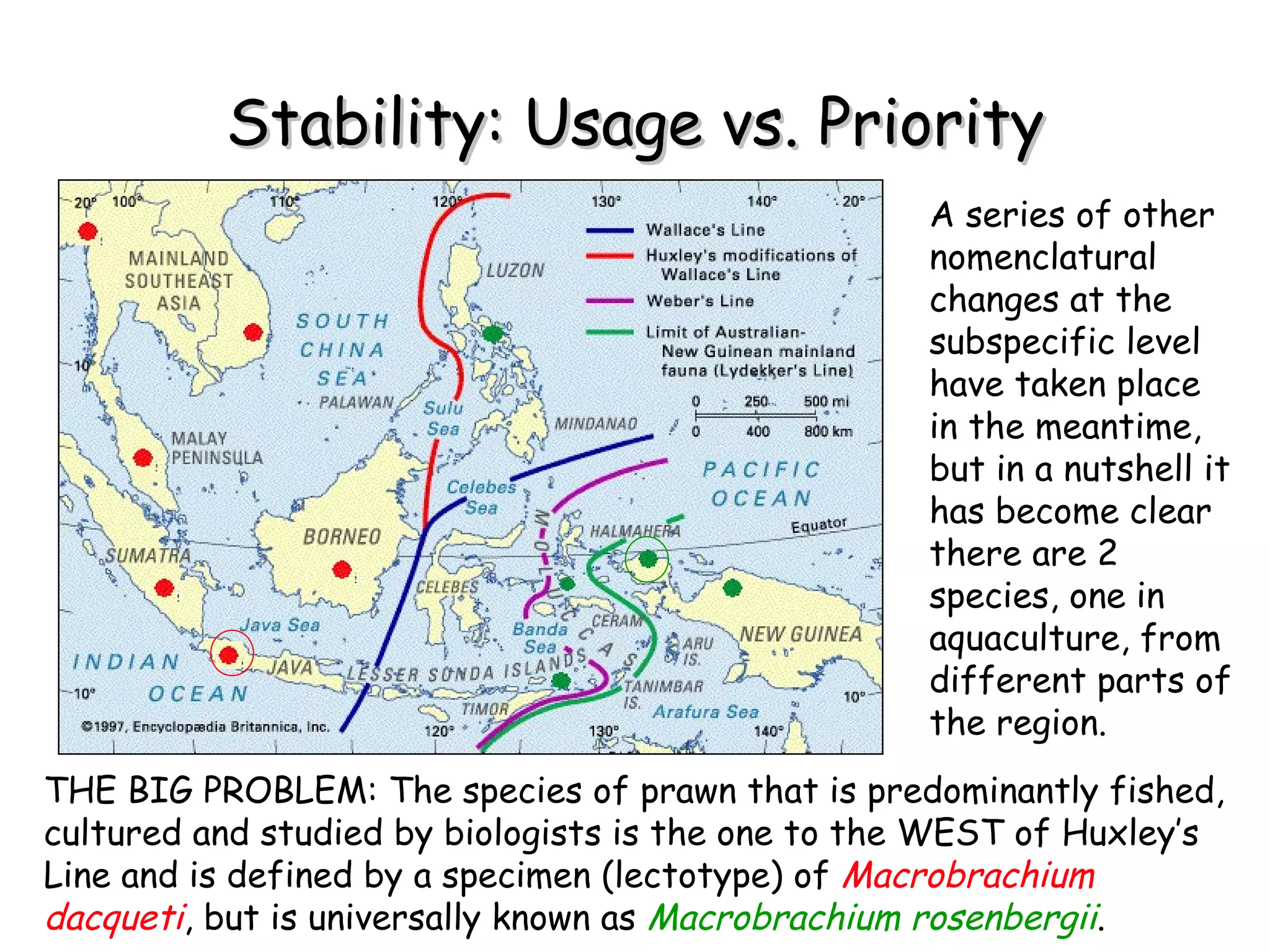 Stability: Usage vs. Priority THE BIG PROBLEM: The species of prawn that is predominantly fished, cultured and studied by biologists is the one to the WEST of Huxley’s Line and is defined by a specimen (lectotype) of  Macrobrachium dacqueti , but is universally known as  Macrobrachium rosenbergii . A series of other nomenclatural changes at the subspecific level have taken place in the meantime, but in a nutshell it has become clear there are 2 species, one in aquaculture, from different parts of the region. 