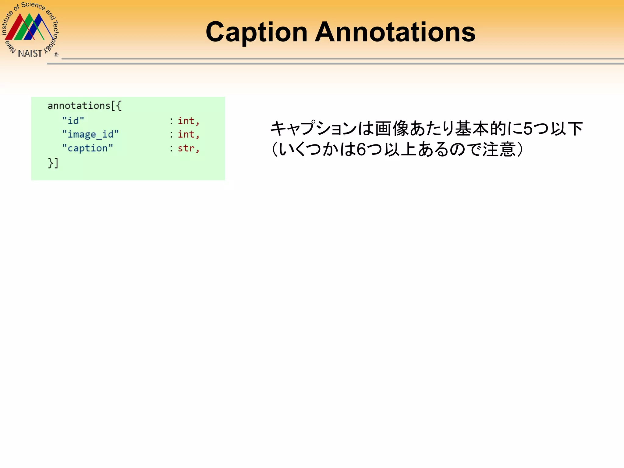 Caption Annotations
キャプションは画像あたり基本的に5つ以下
（いくつかは6つ以上あるので注意）
 