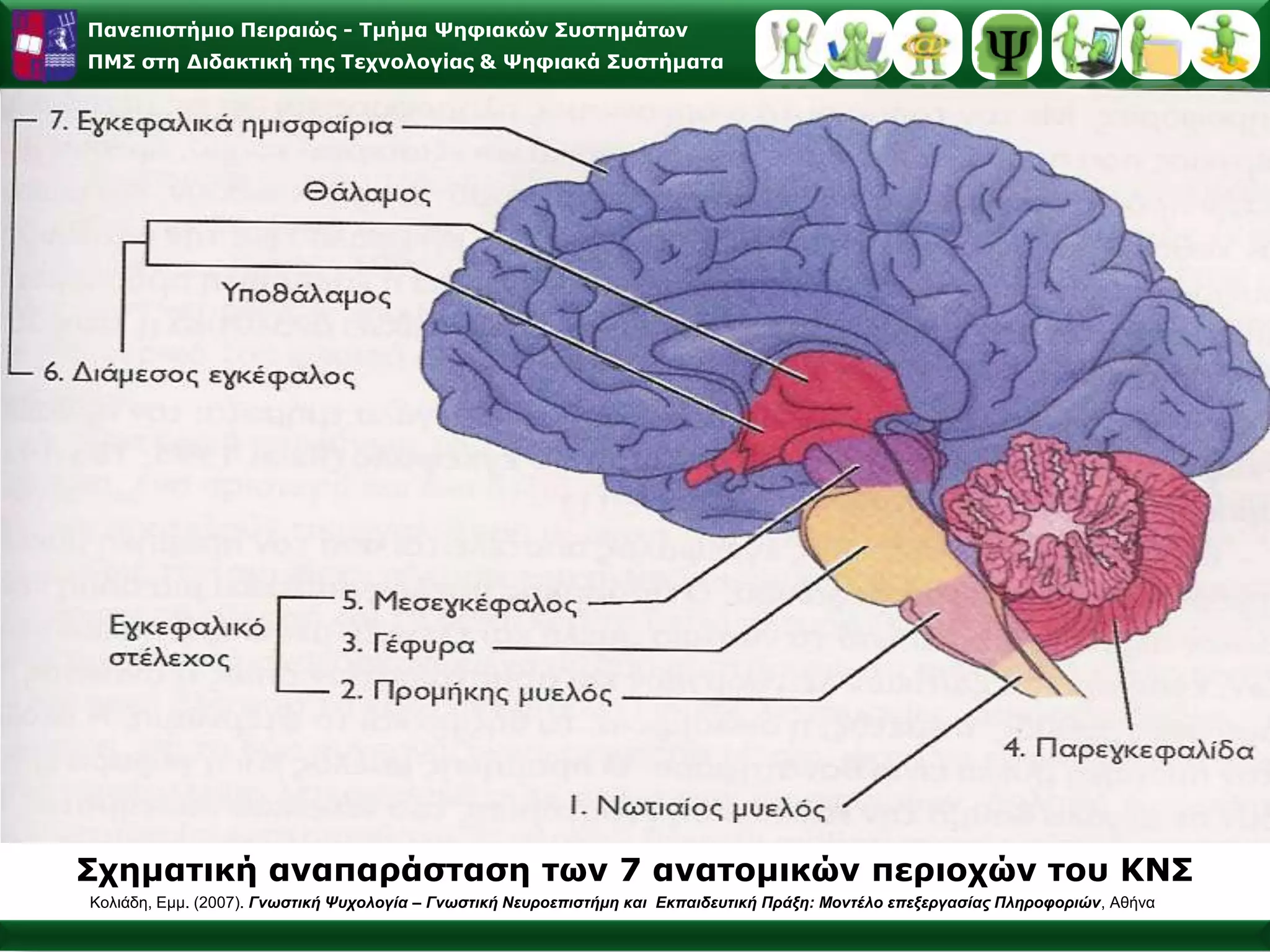 Γνωστικές διαδικασίες Ελέγχου : H Αντίληψη