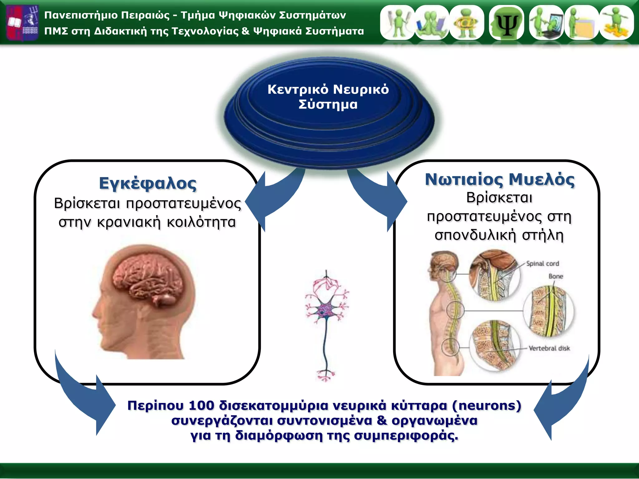 ΜΕΠ και Μνημονικό Σύστημα