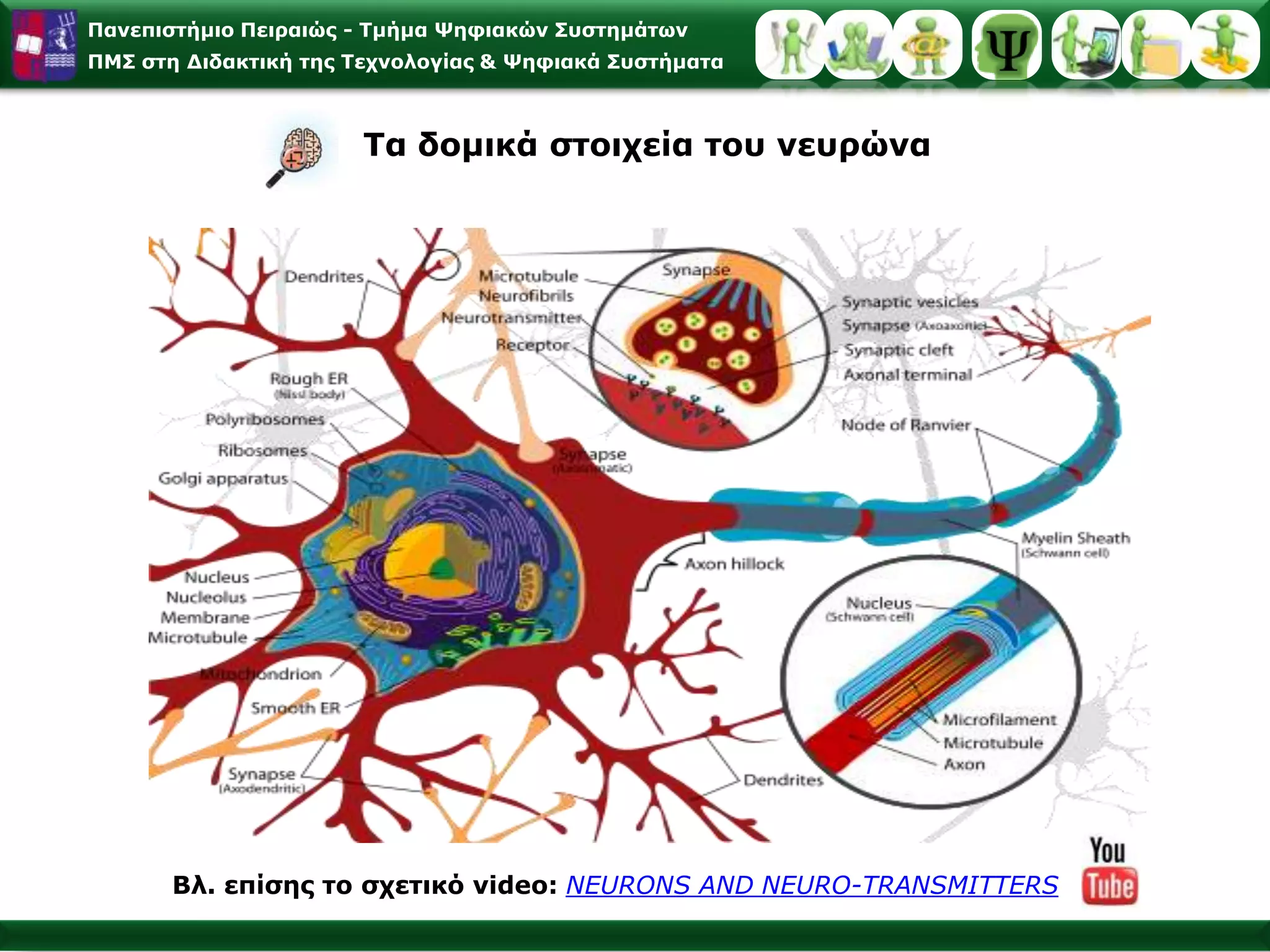 Α. Αισθητηριακή Μνήμη – αισθητηριακή συγκράτηση