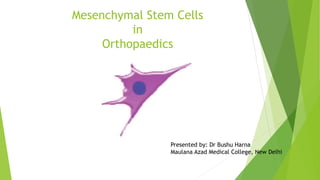 Mesenchymal Stem Cells
in
Orthopaedics
Presented by: Dr Bushu Harna
Maulana Azad Medical College, New Delhi
 