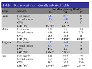 12
 Crop  Seasons
Days after planting (DAP)
36 54 72
Beans First season 8.43 8.57 D
Second season 8.5 6.81 D
CV% 7 15.3 D
LSD (5%) 0.773NS
1.537* -
Maize First season 2.29 4.9 5.3
Second season 4.14 4.14 5.09
CV% 26.5 16.2 11
LSD (5%) 1.116** 0.958NS
0.748NS
Sorghum First season 6.16 8.63 9
Second season 8.79 7.95 9
CV% 13.9 7.2 0
LSD (5%) 1.354** 0.783NS
-
Peas First season 3.46 6.86 7.6
Second season 4.01 5.67 4.56
CV% 29.2 30.7 25.8
  LSD (5%) 1.445NS
2.516NS
2.017**
Table 1. RR severity in naturally infested fields
 
