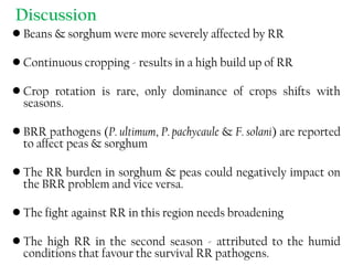 Discussion
• Beans & sorghum were more severely affected by RR
• Continuous cropping - results in a high build up of RR
• Crop rotation is rare, only dominance of crops shifts with
seasons.
• BRR pathogens (P. ultimum, P. pachycaule & F. solani) are reported
to affect peas & sorghum
• The RR burden in sorghum & peas could negatively impact on
the BRR problem and vice versa.
• The fight against RR in this region needs broadening
• The high RR in the second season - attributed to the humid
conditions that favour the survival RR pathogens.
 