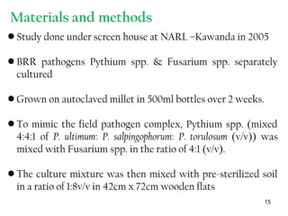 Materials and methods
• Study done under screen house at NARL –Kawanda in 2005
• BRR pathogens Pythium spp. & Fusarium spp. separately
cultured
• Grown on autoclaved millet in 500ml bottles over 2 weeks.
• To mimic the field pathogen complex, Pythium spp. (mixed
4:4:1 of P. ultimum: P. salpingophorum: P. torulosum (v/v)) was
mixed with Fusarium spp. in the ratio of 4:1 (v/v).
• The culture mixture was then mixed with pre-sterilized soil
in a ratio of 1:8v/v in 42cm x 72cm wooden flats
15
 