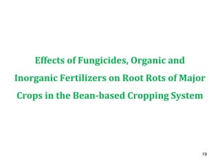 Effects of Fungicides, Organic and
Inorganic Fertilizers on Root Rots of Major
Crops in the Bean-based Cropping System
19
 