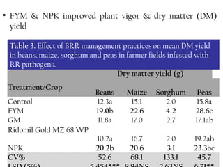 NPK
Control
Ridomil
NPKControl
 
Treatment/Crop
Dry matter yield (g)  
Beans Maize Sorghum Peas
Control 12.3a 15.1 2.0 15.8a
FYM 19.0b 22.6 4.2 28.6c
GM 11.8a 17.0 2.7 17.1ab
Ridomil Gold MZ 68 WP
10.2a 16.7 2.0 19.2ab
NPK 20.2b 20.6 3.1 23.3bc
CV% 52.6 68.1 133.1 45.7
Table 3. Effect of BRR management practices on mean DM yield
in beans, maize, sorghum and peas in farmer fields infested with
RR pathogens.
• FYM & NPK improved plant vigor & dry matter (DM)
yield
 