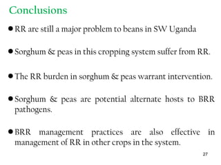Conclusions
•RR are still a major problem to beans in SW Uganda
•Sorghum & peas in this cropping system suffer from RR.
•The RR burden in sorghum & peas warrant intervention.
•Sorghum & peas are potential alternate hosts to BRR
pathogens.
•BRR management practices are also effective in
management of RR in other crops in the system.
27
 