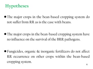 6
Hypotheses
•The major crops in the bean-based cropping system do
not suffer from RR as is the case with beans.
•The major crops in the bean-based cropping system have
no influence on the survival of the BRR pathogens.
•Fungicides, organic & inorganic fertilizers do not affect
RR occurrence on other crops within the bean-based
cropping system.
 
