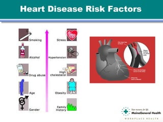 Heart Disease Risk Factors
 