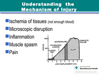 Understanding the
Mechanism of Injury
Ischemia of tissues (not enough blood)
Microscopic disruption
Inflammation
Muscle spasm
Pain
 