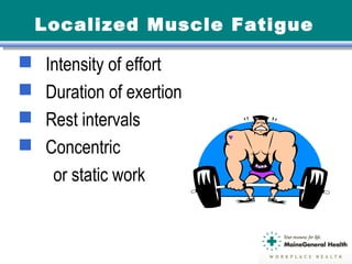 Localized Muscle Fatigue
 Intensity of effort
 Duration of exertion
 Rest intervals
 Concentric
or static work
 