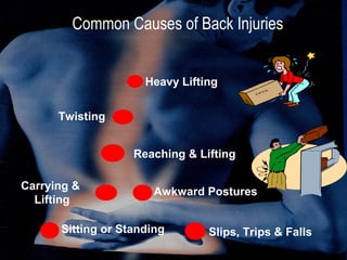 Common Causes of Back Injuries
Heavy Lifting
Sitting or Standing
Awkward Postures
Carrying &
Lifting
Twisting
Reaching & Lifting
Slips, Trips & Falls
 