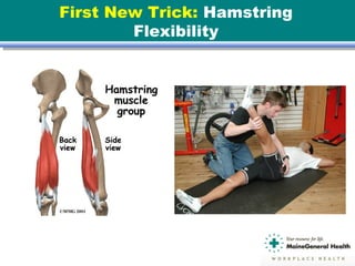 First New Trick: Hamstring
Flexibility
 