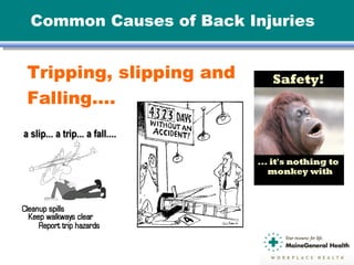 Common Causes of Back Injuries
Tripping, slipping and
Falling….
 