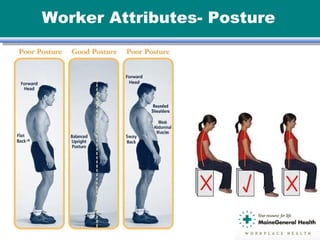 Worker Attributes- Posture
 