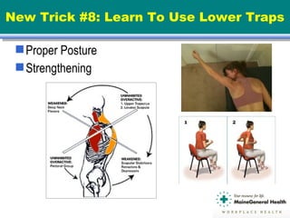 New Trick #8: Learn To Use Lower Traps
Proper Posture
Strengthening
 