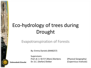 Eco-hydrology of trees during Drought Evapotranspiration of Forests By: Emma Daniels (0448257) Supervisors: Prof. dr. ir. M.F.P. (Marc) Bierkens	(Physical Geography) Dr. S.C. (Stefan) Dekker 		(CopernicusInstitute) 