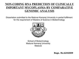 NON-CODING   RNA   PREDICTION   OF   CLINICALLY   IMPORTANT   MYCOPLASMA   BY   COMPARATIVE   GENOMIC   ANALYSIS Dissertation submitted to the Madurai Kamaraj University in partial fulfillment for the requirement of Masters of Science in Biotechnology Regn. No:A242009 School of Biotechnology Madurai Kamaraj University Madurai 