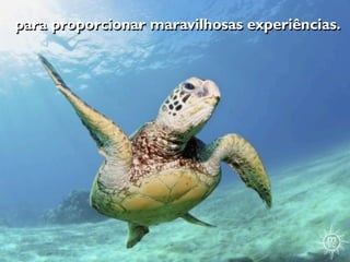 para proporcionar maravilhosas experiências.
 