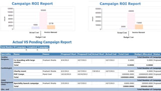 Campaign Performance Report 
 
