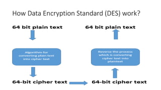 How Data Encryption Standard (DES) work?
 