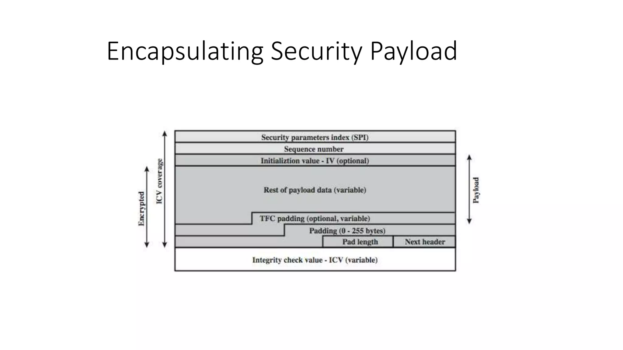 Encapsulating Security Payload
 