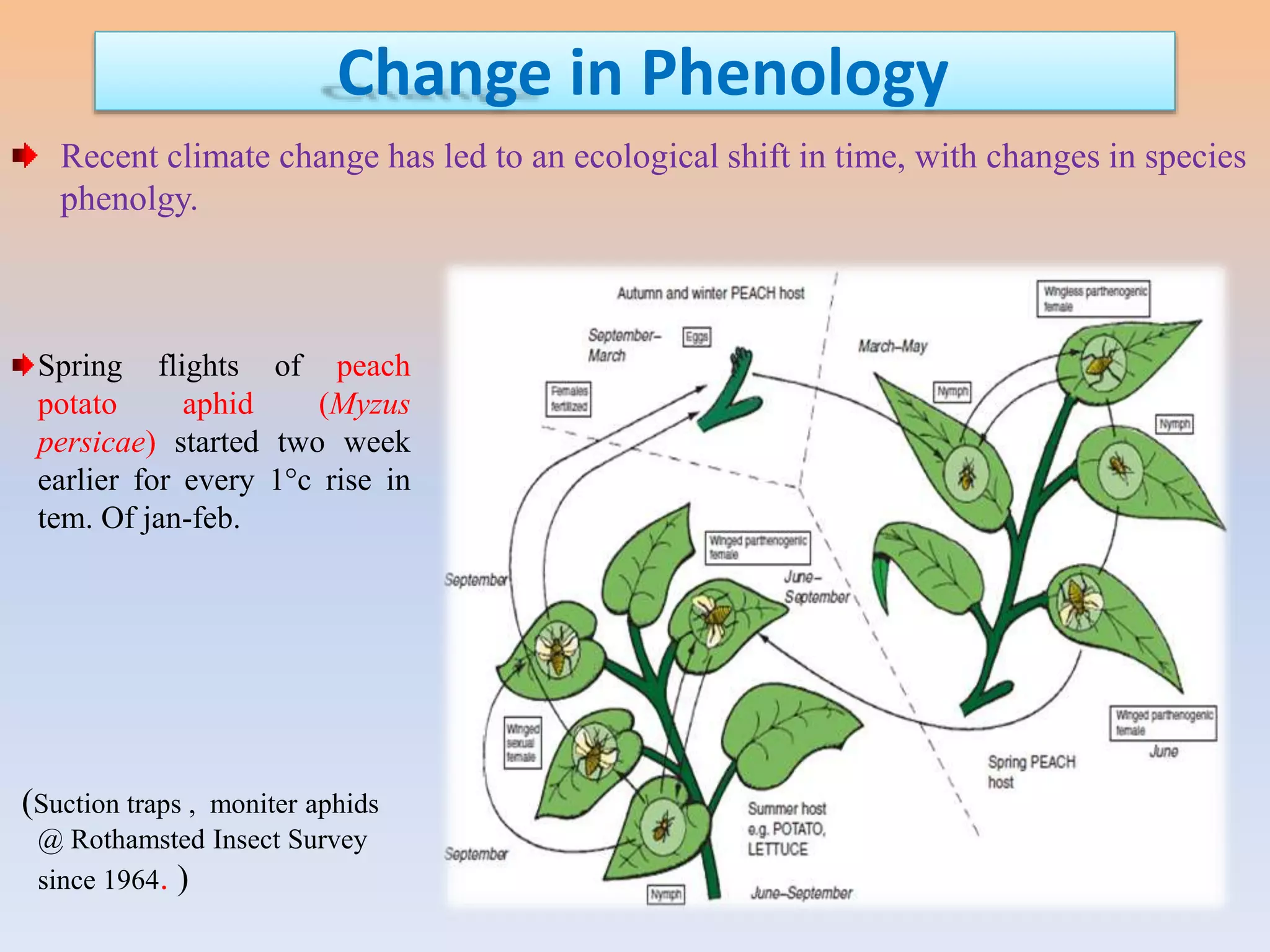 impact of climate change on insect community | PPTX