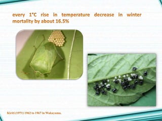 impact of climate change on insect community | PPTX