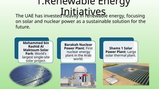Environmental Conservation Efforts in the UAE | PPTX